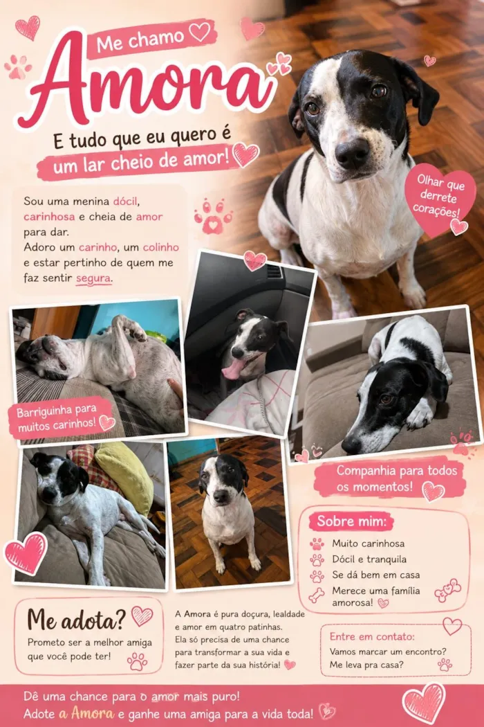 Cachorro raça SRD-ViraLata idade 6 ou mais anos nome Amora