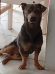Carlos Alberto 
