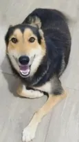 Nick