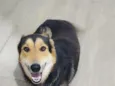Nick