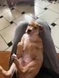 Twix