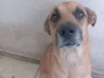 Petisco