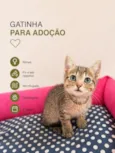 Pitchuca
