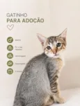 MARCIO