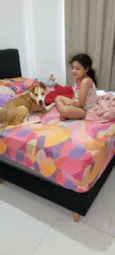 Pitico