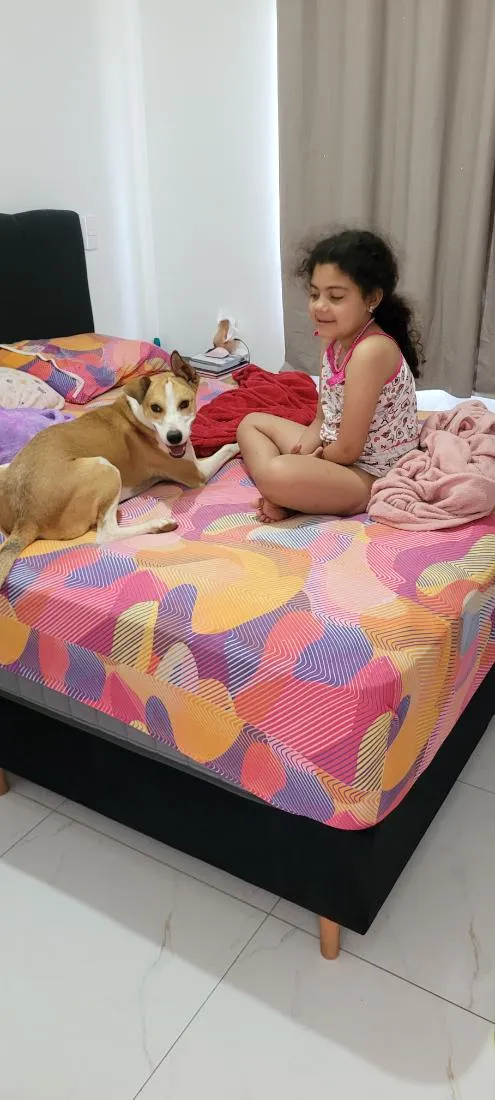 Cachorro raça SRD-ViraLata idade 1 ano nome Pitico
