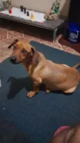 Kika