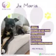 Ju Maria