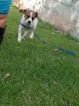 Zeus