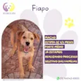 Fiapo