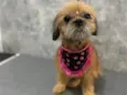 Mel