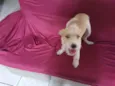 Léo