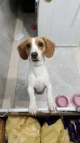 Bingo