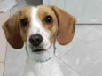 Bingo