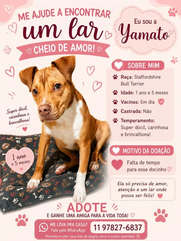 Cachorro raça SRD-ViraLata idade 1 ano nome Yamato