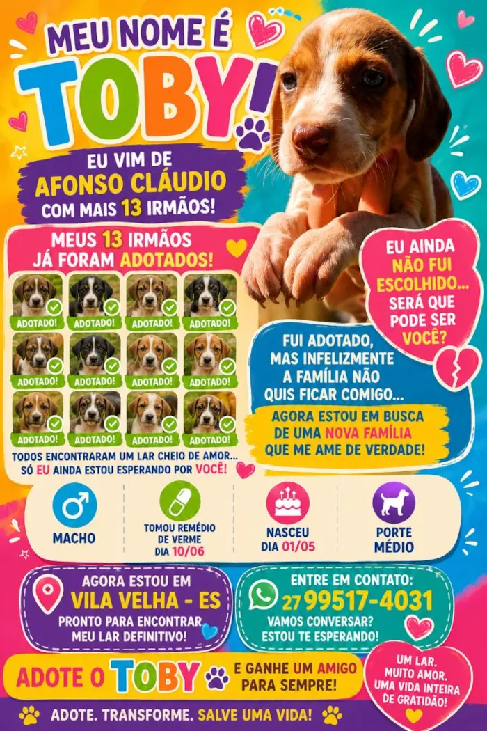 Cachorro raça SRD-ViraLata idade 2 a 6 meses nome Toby