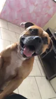 Duke