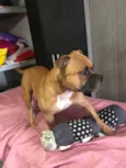 Duke