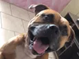 Duke