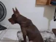 Ragnar
