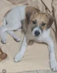 Duke