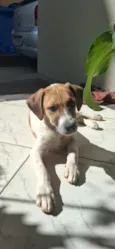 Duke