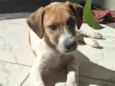 Duke