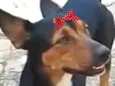 Rubi