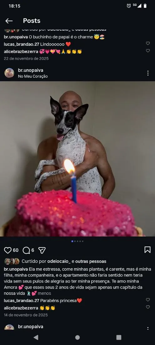 Cachorro raça SRD-ViraLata idade 3 anos nome Amora