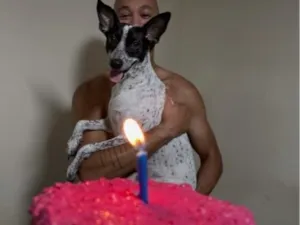 Cachorro raça SRD-ViraLata idade 3 anos nome Amora