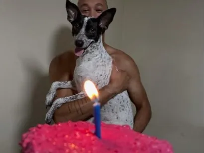 Cachorro raça SRD-ViraLata idade 3 anos nome Amora