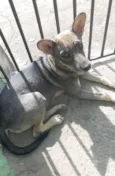 ainda não tem