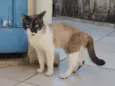 sem identificação