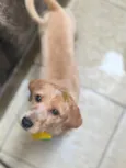 Vivi