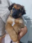 Julio 