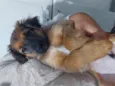 Julio 