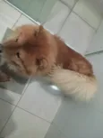 Zeus
