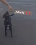 Sagati