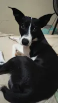 Tony