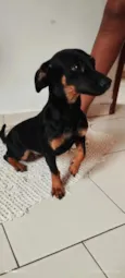 Roberto