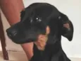 Roberto