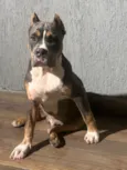 Ragnar
