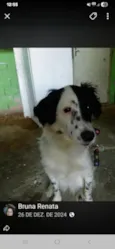Dorinha