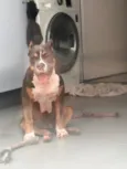 Ragnar