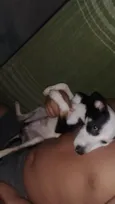 Zeus