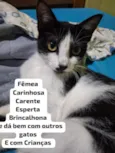 Agatha