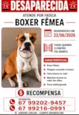 Faísca