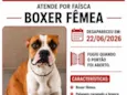 Faísca