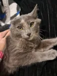 Nina