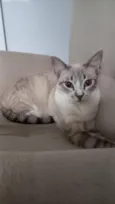 Lili